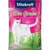 VITAKRAFT Cat Grass - grass seeds - 50 g