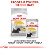 ROYAL CANIN Mini Dermacomfort - dry food for adult small breeds of dogs with sensitive skin prone to irritation - 3kg ROYAL CANIN Mini Dermacomfort - dry food for adult small breeds of dogs with sensitive skin prone to irritation - 3kg