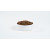BULT Salmon with trout - dry dog food - 12kg