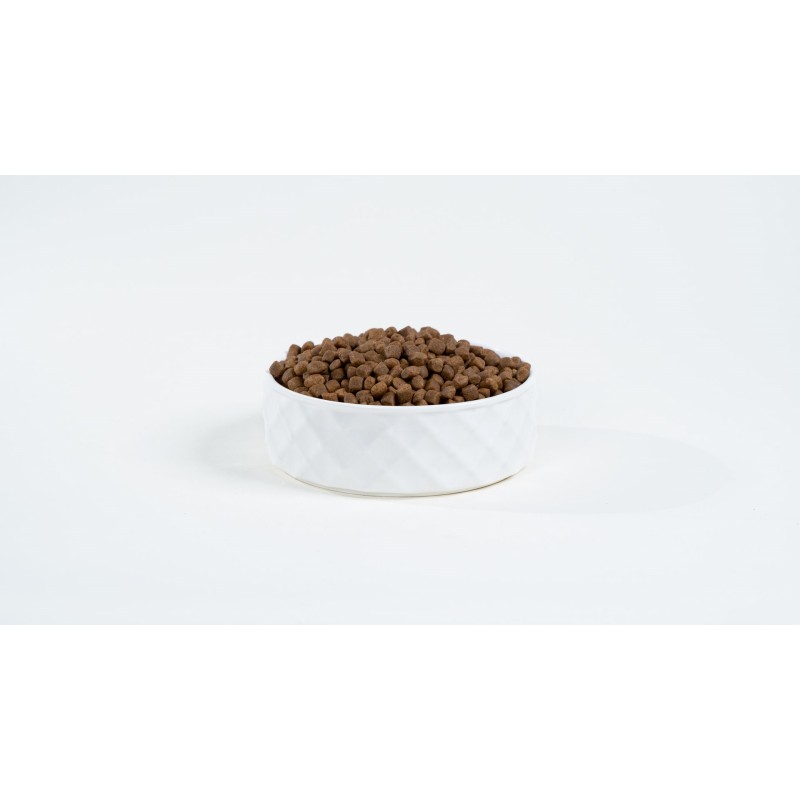 BULT Salmon with trout - dry dog food - 12kg BULT Salmon with trout - dry dog food - 12kg