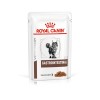 ROYAL CANIN Gastrointestinal Wet cat food Chunks in sauce Poultry, Pork 12x85 g ROYAL CANIN Gastrointestinal Wet cat food Chunks in sauce Poultry, Pork 12x85 g