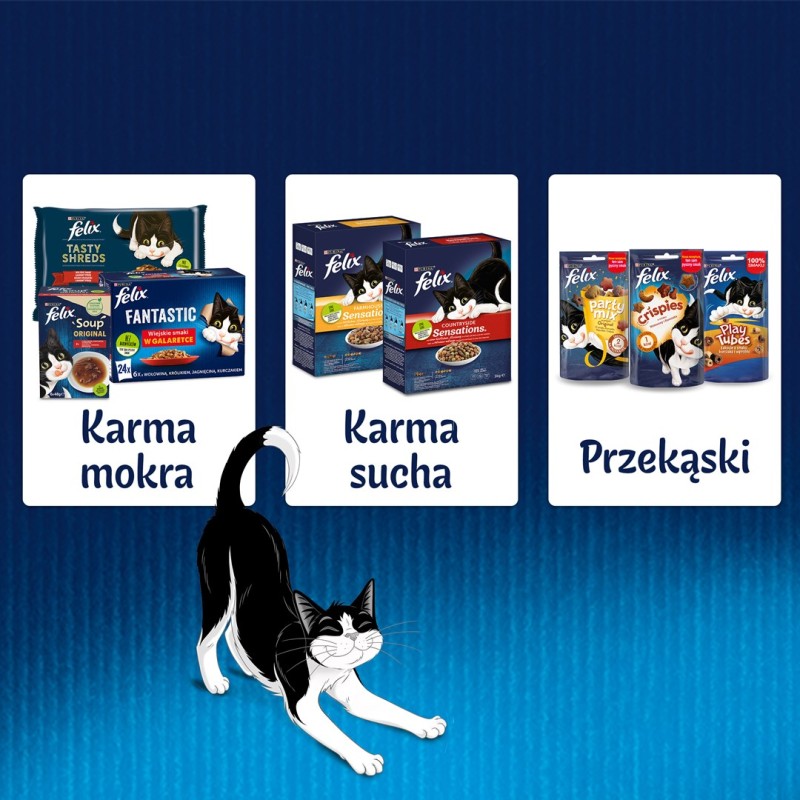 WHISKAS Saszetki aromatyczne mix smaków 40x85g WHISKAS Saszetki aromatyczne mix smaków 40x85g