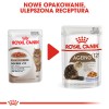ROYAL CANIN FHN Ageing 12+ in jelly - wet cat food - 12X85g