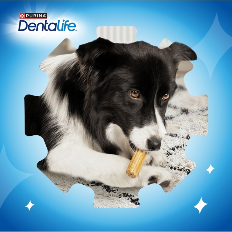 PURINA Dentalife Extra Mini - Dental snack for dogs - 69 g