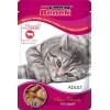 SUPER BENEK Beef in sauce - wet cat food - 100 g