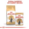 ROYAL CANIN British Shorthair packet 12x85g ROYAL CANIN British Shorthair packet 12x85g