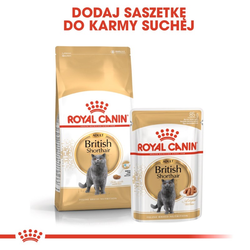 ROYAL CANIN British Shorthair packet 12x85g ROYAL CANIN British Shorthair packet 12x85g
