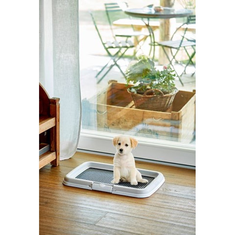 ZOLUX dog / cat litter box Open litter box Black, Grey ZOLUX dog / cat litter box Open litter box Black, Grey