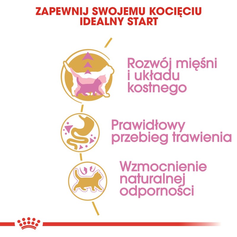 Royal Canin British Shorthair Kitten cats dry food 2 kg Poultry, Rice, Vegetable Royal Canin British Shorthair Kitten cats dry food 2 kg Poultry, Rice, Vegetable