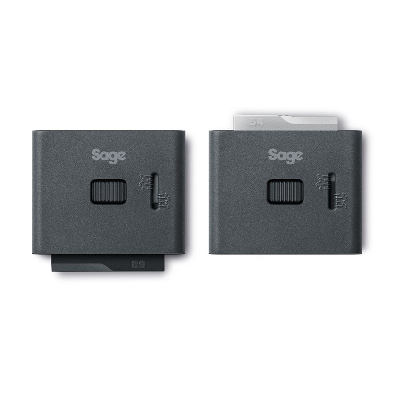Sage the Dose Control Pro Silver Sage the Dose Control Pro Silver