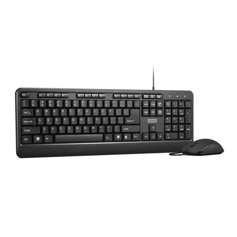 Lenovo 160 keyboard Mouse included Home/Office USB US English Black