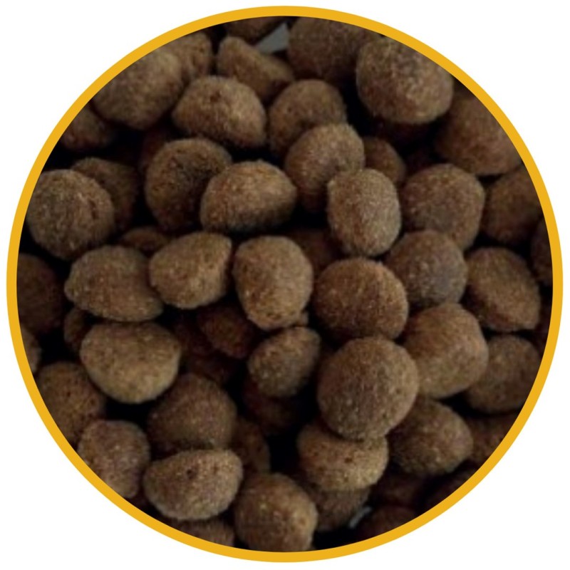 SUPER BENO Beef with venison - wet dog food - 415g SUPER BENO Beef with venison - wet dog food - 415g