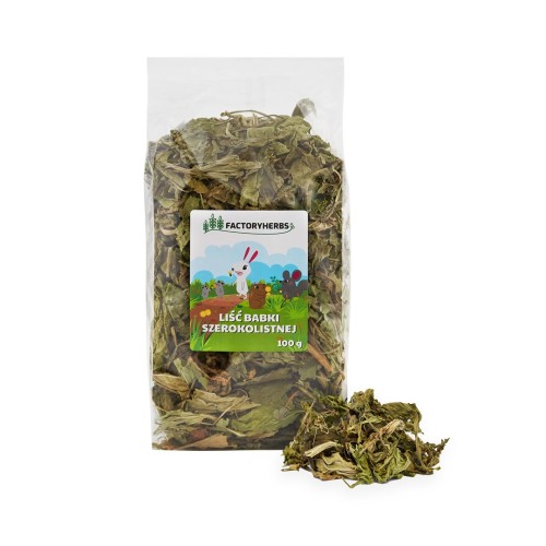 FACTORYHERBS Broadleaf plantain leaf - treat for rodents and rabbits - 100g FACTORYHERBS Broadleaf plantain leaf - treat for rodents and rabbits - 100g