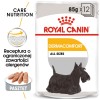 TASTE OF THE WILD Pacific Stream - dry dog food - 12,2 kg TASTE OF THE WILD Pacific Stream - dry dog food - 12,2 kg