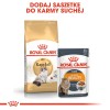 ROYAL CANIN Ragdoll FBN Adult - dry cat food - 400g ROYAL CANIN Ragdoll FBN Adult - dry cat food - 400g