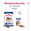 Bosch MAXI JUNIOR 15 kg Puppy Poultry
