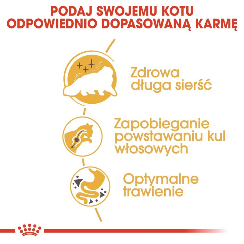Royal Canin Persian cats dry food 4 kg Adult Maize, Poultry Royal Canin Persian cats dry food 4 kg Adult Maize, Poultry