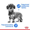 TASTE OF THE WILD Pine Forest - dry dog food - 12,2 kg TASTE OF THE WILD Pine Forest - dry dog food - 12,2 kg