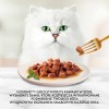Purina 7613032947972 cats moist food 85 g