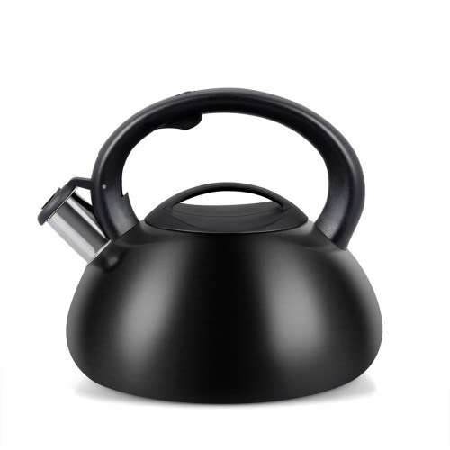 Kettle PROMIS TMC01BS AUGUSTO MATTE 3 liters INDUCTION, GAS Kettle PROMIS TMC01BS AUGUSTO MATTE 3 liters INDUCTION, GAS