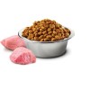 FARMINA N&D GF PUMPKIN LAMB&BLUEBERRY ADULT MEDIUM/ FARMINA N&D GF PUMPKIN LAMB&BLUEBERRY ADULT MEDIUM/