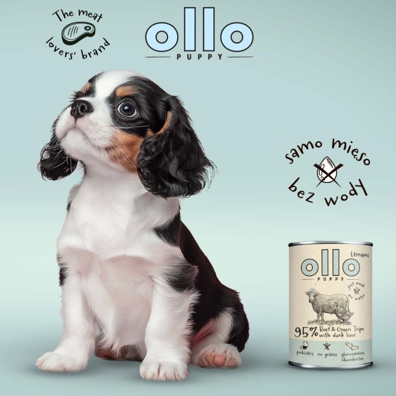 OLLO Puppy Umami Beef and Green Tripe with Duck Liver - wet dog food - 400g OLLO Puppy Umami Beef and Green Tripe with Duck Liver - wet dog food - 400g