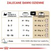 ROYAL CANIN Maine Coon Kitten - dry cat food - 2 kg ROYAL CANIN Maine Coon Kitten - dry cat food - 2 kg