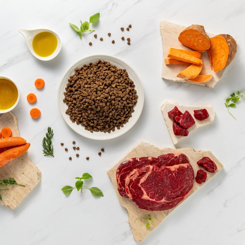 RAW PALEO Ultra Mini Puppy Beef - dry food for puppies of small breeds - 8 kg RAW PALEO Ultra Mini Puppy Beef - dry food for puppies of small breeds - 8 kg