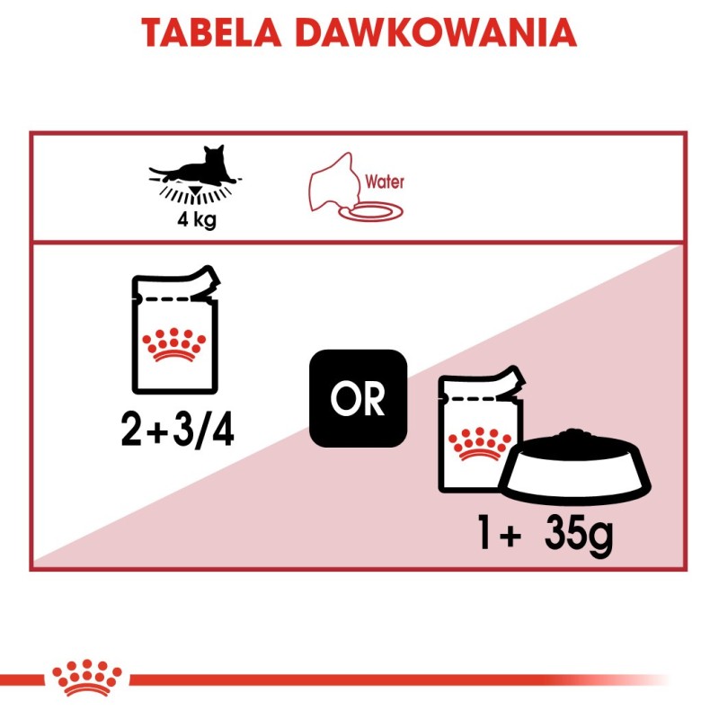 ROYAL CANIN FHN Instinctive - wet pate food for adult cats - 12x 85g ROYAL CANIN FHN Instinctive - wet pate food for adult cats - 12x 85g