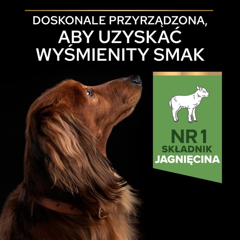 Mr Meaty Dog Dry Food Pork with Wild Boar 9kg Mr Meaty Dog Dry Food Pork with Wild Boar 9kg