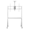 Maclean TV stand / cart, camera shelf, on casters, 55-100
