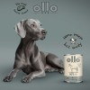 OLLO Pure Horse - wet dog food - 400g OLLO Pure Horse - wet dog food - 400g