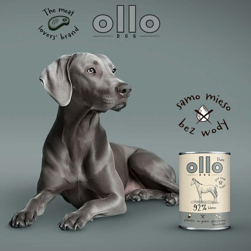 OLLO Pure Horse - wet dog food - 400g OLLO Pure Horse - wet dog food - 400g