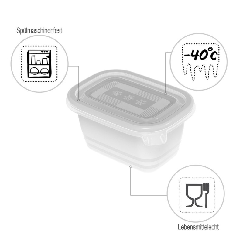ROTHO Freeze - freezer container - 6x250ml ROTHO Freeze - freezer container - 6x250ml