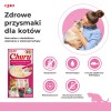 ARQUIVET puszka dla kota kurczak w sosie ze szprotką 80g ARQUIVET puszka dla kota kurczak w sosie ze szprotką 80g