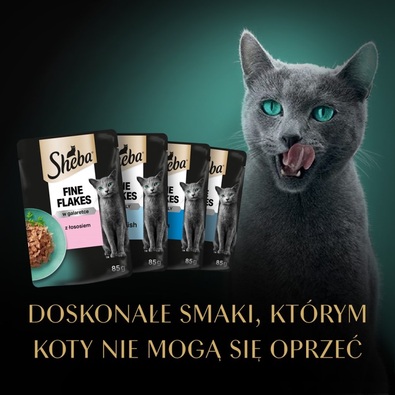 SHEBA Delicacy Fishy Flavours in jelly - wet cat food - 80x 85g SHEBA Delicacy Fishy Flavours in jelly - wet cat food - 80x 85g