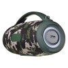 HOCO HA4 Surge Portable Speaker Blutooth/ FM/ TF card/ USB memory stick/ AUX 2 x 20 W Green