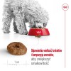 ROYAL CANIN Mini Ageing Adult +12 - dry dog food - 3,5 kg ROYAL CANIN Mini Ageing Adult +12 - dry dog food - 3,5 kg