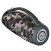 HOCO HA4 Surge Portable Speaker Blutooth/ FM/ TF card/ USB memory stick/ AUX 2 x 20 W Green