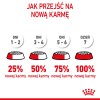 Royal Canin Mother & Babycat 34 dry cat food 0,4 kg Royal Canin Mother & Babycat 34 dry cat food 0,4 kg