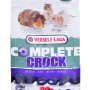 VERSELE LAGA Complete Crock Berry - treat for rodents - 50g