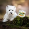 RAW PALEO Pate Mini Adult Beef - wet dog food - 150 g RAW PALEO Pate Mini Adult Beef - wet dog food - 150 g