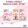 Royal Canin BABYCAT INSTINCTIVE - Wet cat food - 195 g Royal Canin BABYCAT INSTINCTIVE - Wet cat food - 195 g