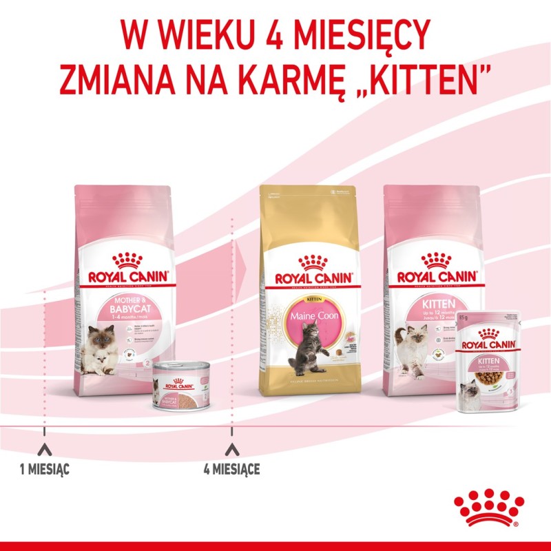 Royal Canin BABYCAT INSTINCTIVE - Wet cat food - 195 g Royal Canin BABYCAT INSTINCTIVE - Wet cat food - 195 g