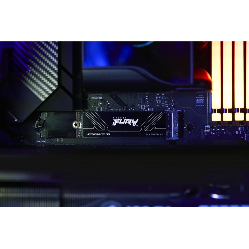 Kingston Technology 1T FURY RENEGADE G5 M.2 2280 NVMe SSD