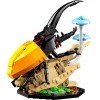 LEGO IDEAS 21342 The Insect Collection LEGO IDEAS 21342 The Insect Collection