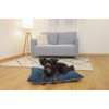 MIAMOR Ragout Royale w galaretce red 12x100g