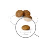 ROYAL CANIN Adult x- small SHN  - dry dog food - 3kg