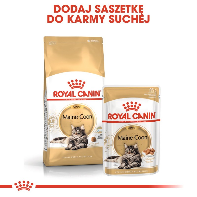ROYAL CANIN FBN Maine Coon - Cat wet food - sachet 12x 85g ROYAL CANIN FBN Maine Coon - Cat wet food - sachet 12x 85g