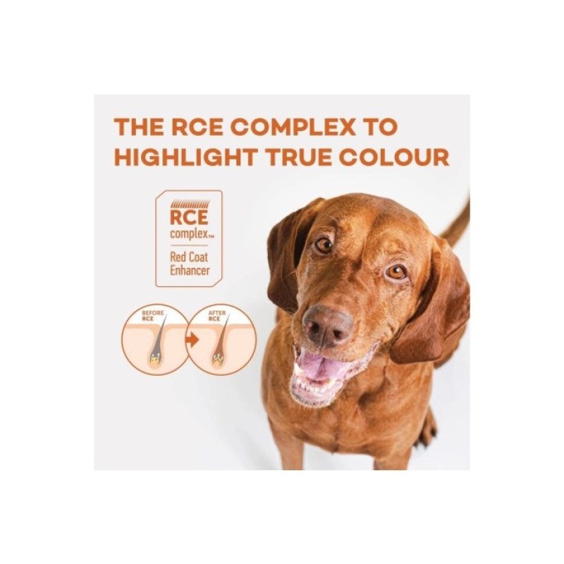 NATURE'S PROTECTION Superior Care Red Coat Adult Small breed Grain free Salmon - dry dog food - 1,5kg